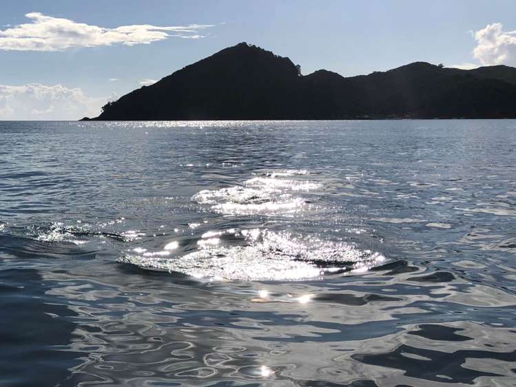 39 Sandhills Road Great Barrier Island (Aotea Island)_70