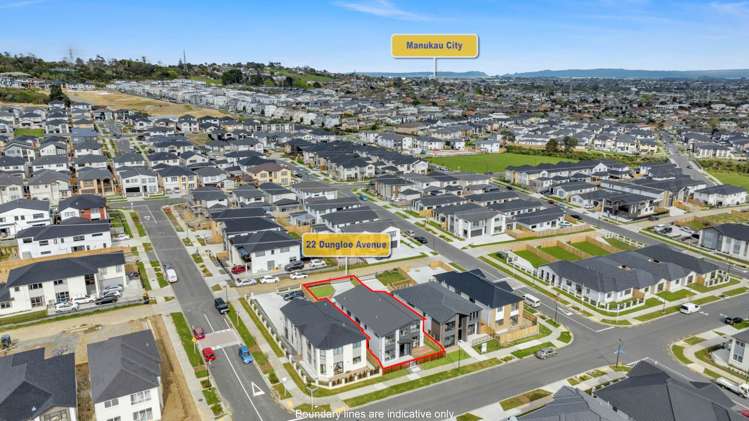 22 Dungloe Avenue Flat Bush_29