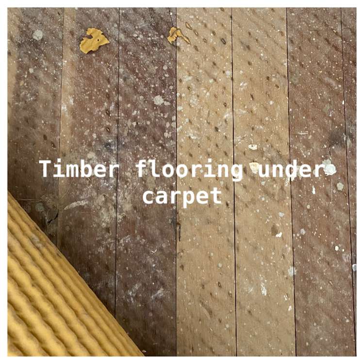 6/26a Mount Smart Road Onehunga_11