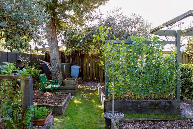 57 Elizabeth Street Tauhara_17