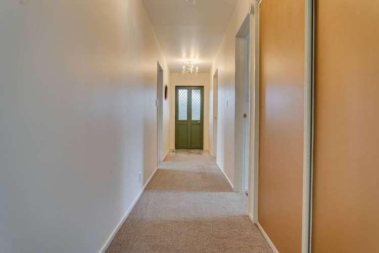 34 Hope Drive Witherlea_17