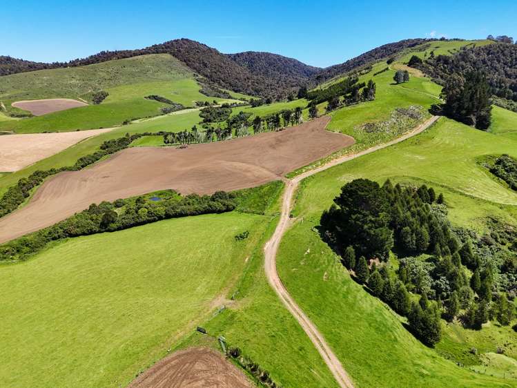 124 Niagara Waikawa Road Tokanui_11