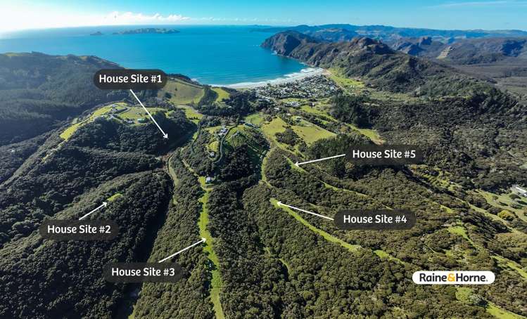 1032 Taupo Bay Road_1