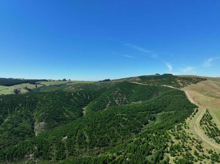 Waitahuna Gully Road Waitahuna Gully_13