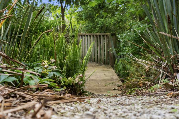 27 Dingle Road Morrinsville_32