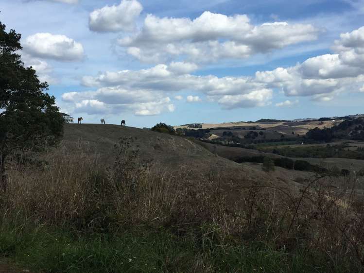 1798 Chapman Road Pukekawa_6