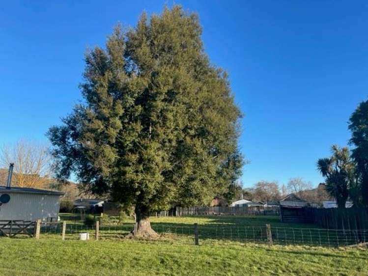 10 Balmoral Street Culverden_5