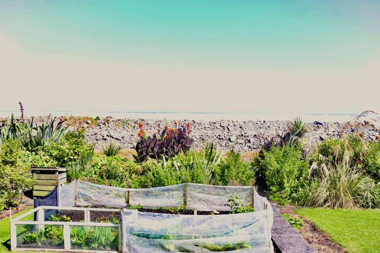 160 Torea Street Granity_15