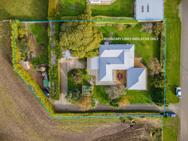 65 Springfield Road Totara_21