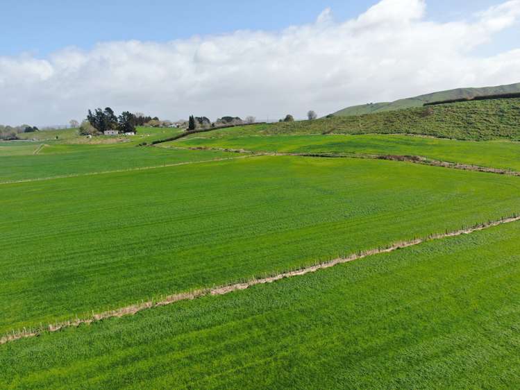 1375 State Highway 3 Otorohanga_24