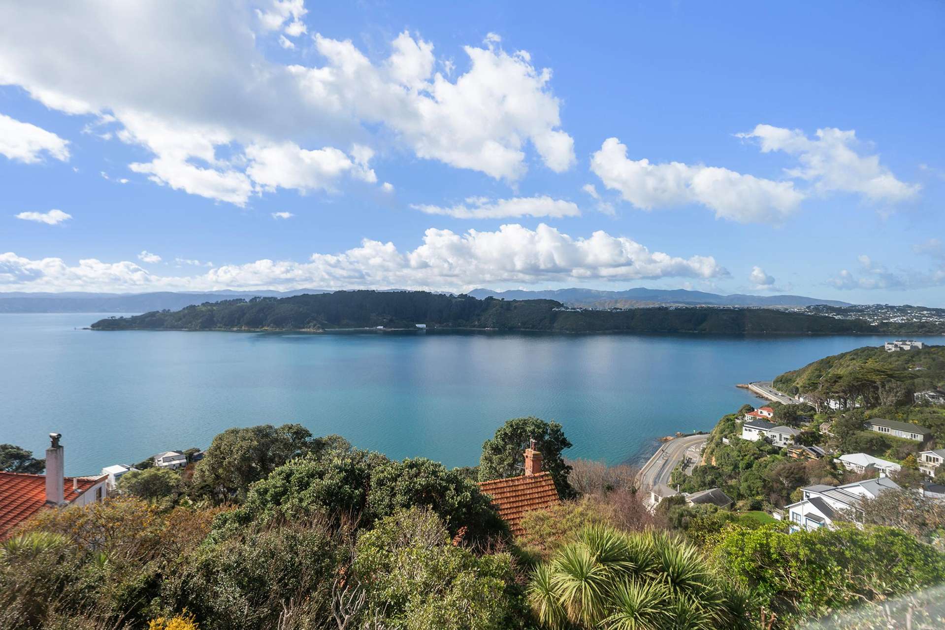 4/53 Grafton Road Roseneath_0