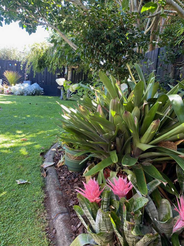 11 Donzella Place Conifer Grove_20