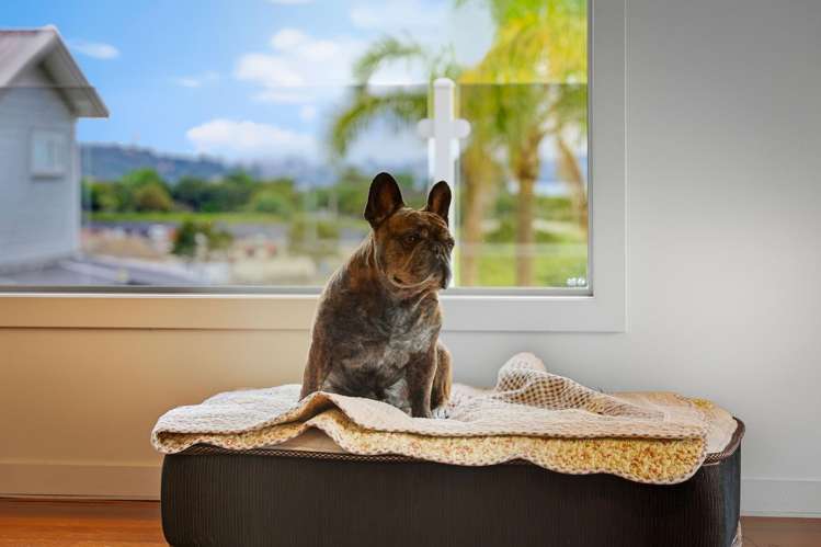 23 Bannings Way West Harbour_34