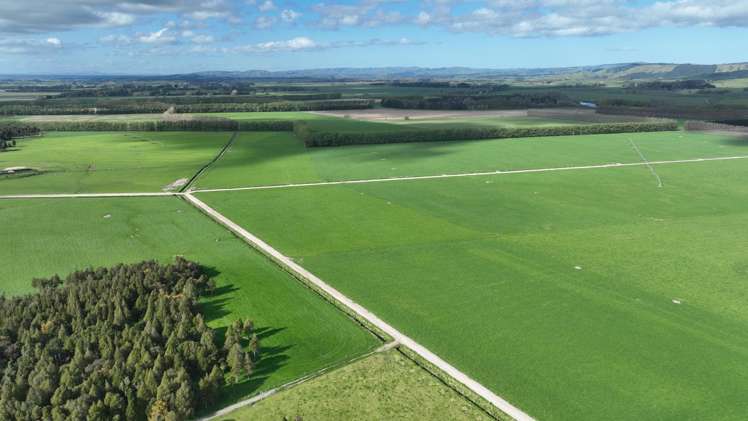 1807 Kahutara Road Kahutara_20