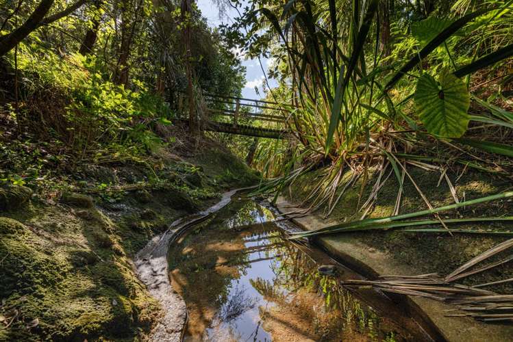 16 Bateleur Close Welcome Bay_10