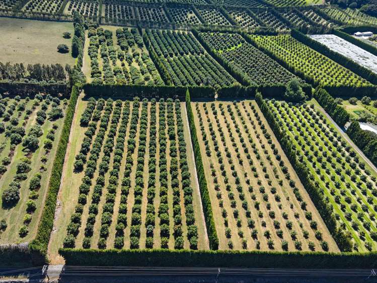 88 Stone Wall Rse Maungatapere_34