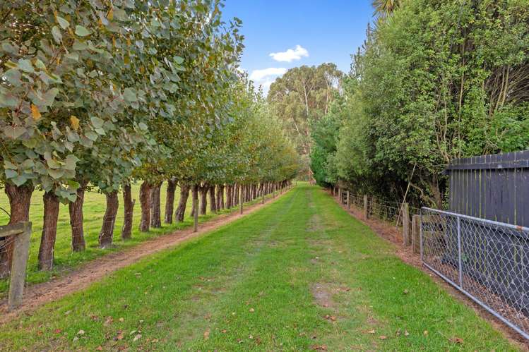 187 Belfast Road Belfast_24