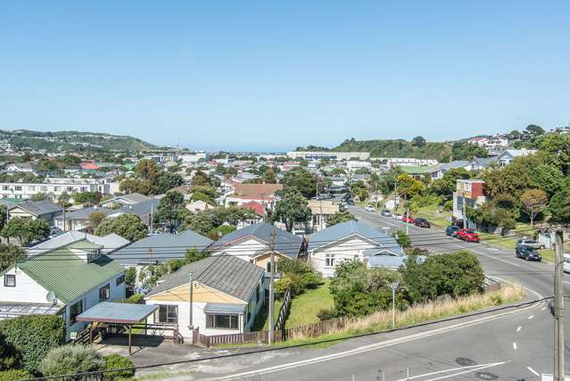 117 Tauhinu Road Miramar_3