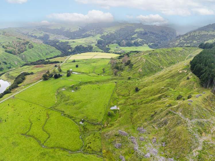 232 Kotare Road Ruakituri_6