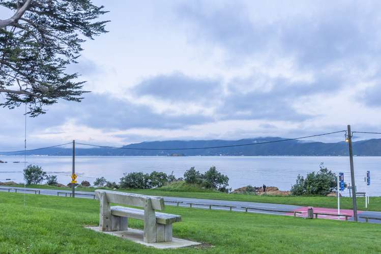 11/231 Marine Parade Seatoun_17