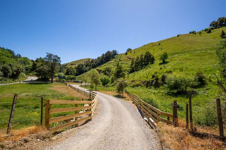 80 Garden Valley Road Wairoa Valley_4