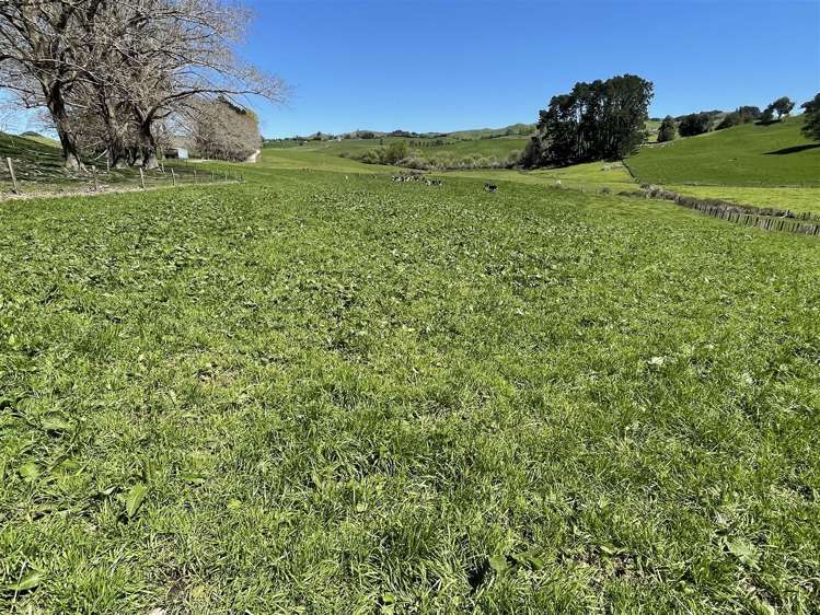 135 Whataroa Road Te Kuiti_22