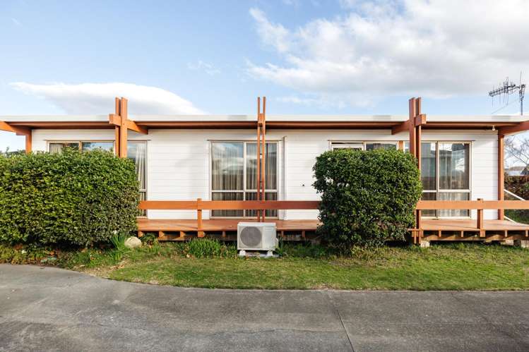 14 Rochester Street Tamatea_12
