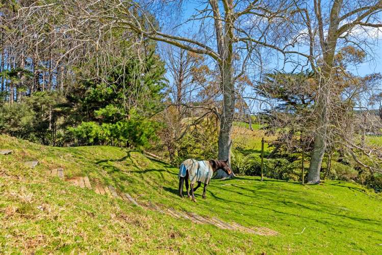 207 Fletcher Road Waimauku_24