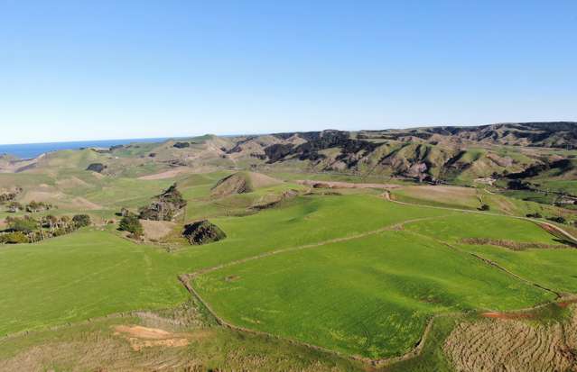 274 Matira Road Te Akau_1