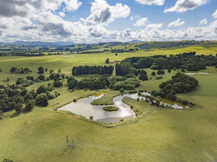 235 Otope Road Dannevirke_25