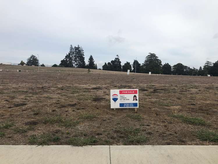 Swan Road Te Kauwhata_16