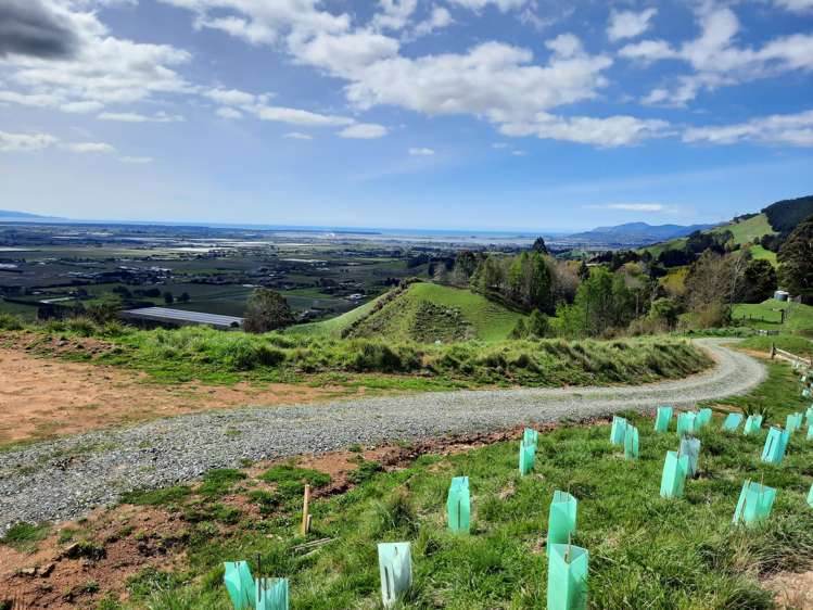 Lot 4 326 Aniseed Valley Road Aniseed Valley_9