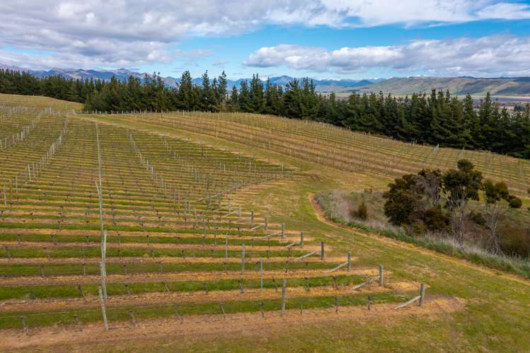 Delta Lake Heights Renwick_10