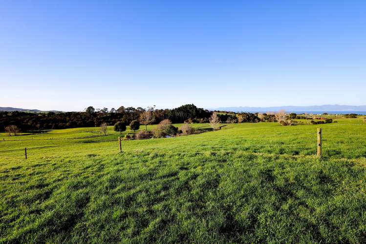 1177c East Coast Road Kaiaua_10