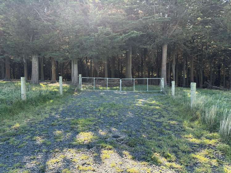 Waihola Hill Road Clarendon_9