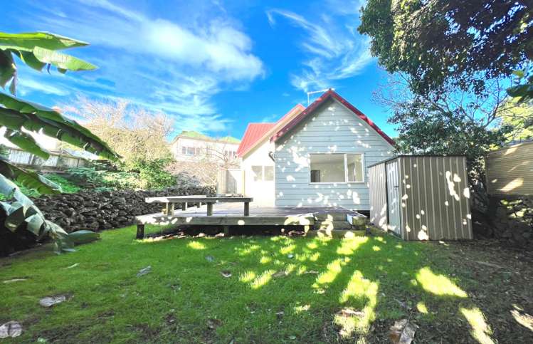 159 Dominion Road Mount Eden_14