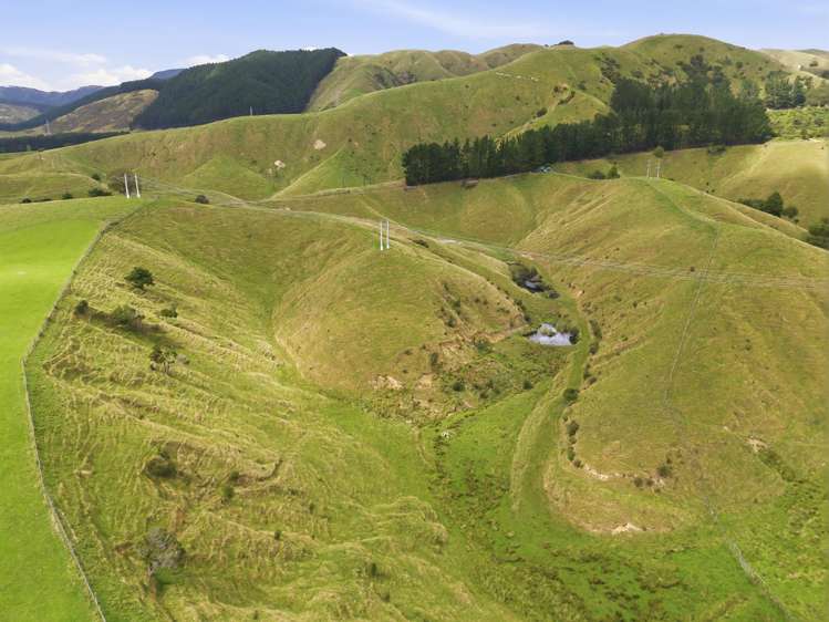 100 Heights Road Shannon_9