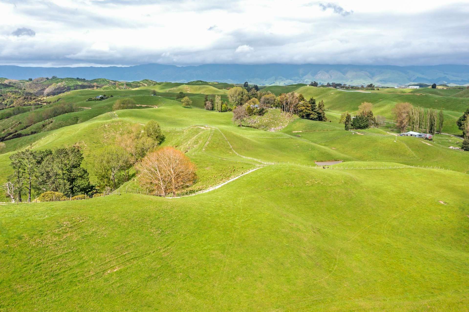 475 Pollock Road Pohangina_0