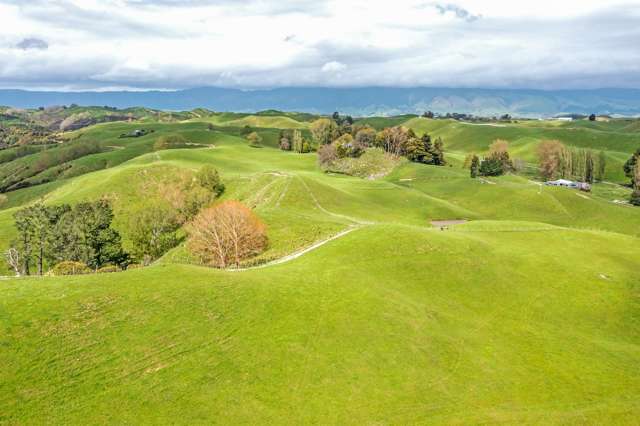 Grazing, first farm opportunity