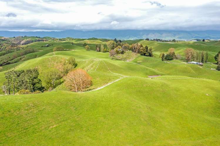 475 Pollock Road Pohangina_0