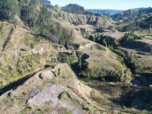 Cnr Whanganui River Road and Otunui South Road Taumarunui_3