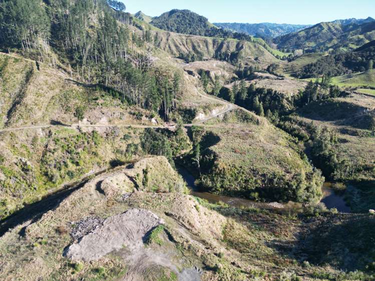 Cnr Whanganui River Road and Otunui South Road Taumarunui_3