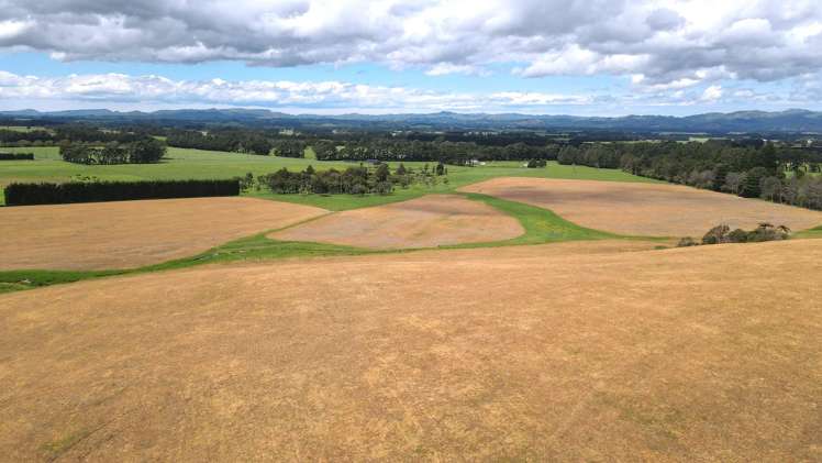 777 Kumeti Road Dannevirke_24