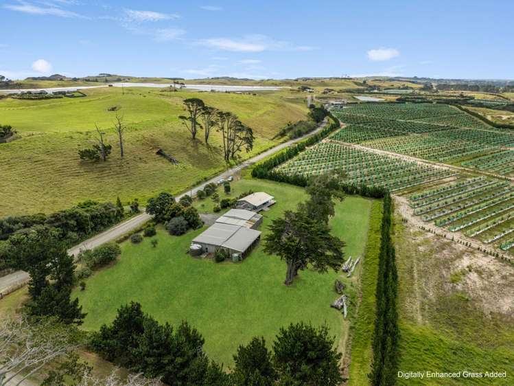 259 Redhill Cemetery Road Te Kopuru_25