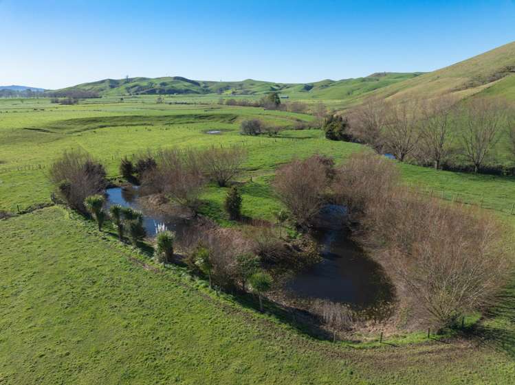 1422 Tauwhare Road Tauwhare_7