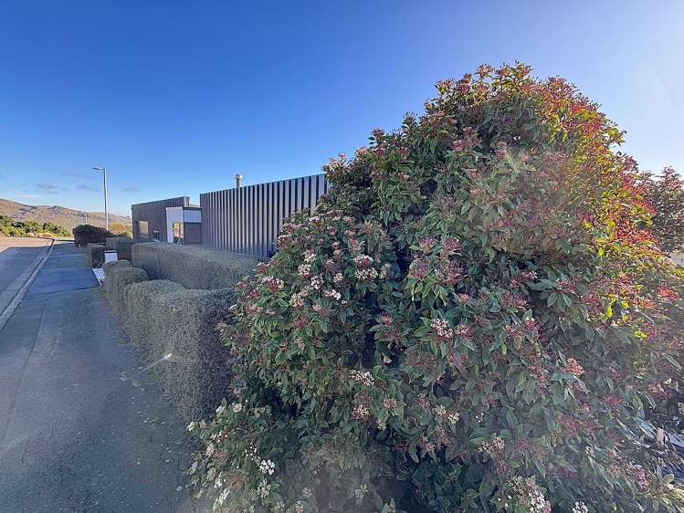 2 Clearview Lane Mount Pleasant_5