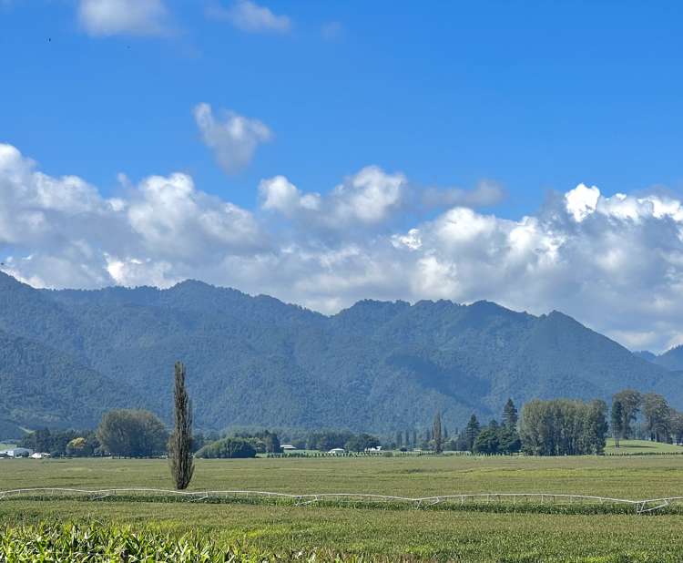 3931 Galatea Road Murupara Surrounds_20