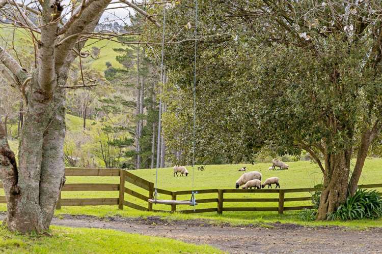 1238 Peak Road Helensville_16