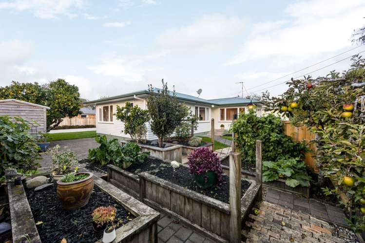 30 Knighton Road Hillcrest_23