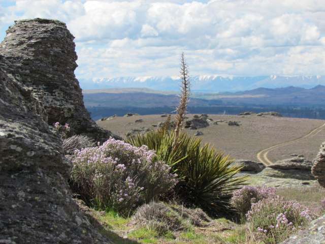 Tor Hill Road Conroys Gully_3